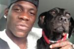 Mario Balotelli: Bồ có thể bỏ nhưng chó phải có mấy con