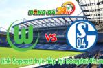 Link sopcast Wolfsburg vs Schalke 04 (22h30-19/04)