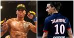 Ibrahimovic nhận được lời thách đấu của “sát thủ” UFC