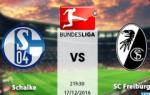 Nhận định Schalke vs Freiburg 21h30 ngày 17/12 (Bundesliga 2016/17)
