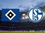 Nhận định Hamburg vs Schalke 02h00 ngày 21/12 (Bundesliga 2016/17)