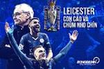 Leicester vô địch Premier League: Chuyện con cáo và chùm nho chín