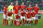 Đường tới Euro 2016 của Áo: “Ngựa ô” đích thực