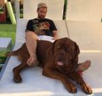 Messi chăm chó người yêu tặng cực mát tay