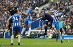 Tổng hợp: Brighton 1-1 Everton (Vòng 8 NHA 2017/18)