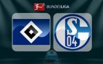Nhận định Schalke vs Hamburg 21h30 ngày 19/11 (Bundesliga 2017/18)