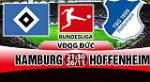 Nhận định Hamburg vs Hoffenheim 21h30 ngày 26/11 (Bundesliga 2017/18)