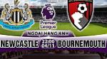 Nhận định Newcastle vs Bournemouth 22h00 ngày 4/11 (Premier League 2017/18)