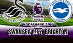 Nhận định Swansea vs Brighton 22h00 ngày 04/11 (Premier League 2017/18)