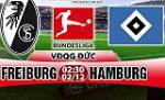 Nhận định Freiburg vs Hamburg 02h30 ngày 02/12 (Bundesliga 2017/18)