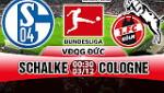 Nhận định Schalke vs Cologne 00h30 ngày 3/12 (Bundesliga 2017/18)