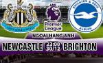 Nhận định Newcastle vs Brighton 22h00 ngày 30/12 (Premier League 2017/18)