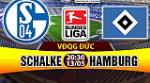 Nhận định Schalke vs Hamburg 20h30 ngày 13/5 (Bundesliga 2016/17)