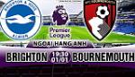 Nhận định Brighton vs Bournemouth 19h30 ngày 1/1 (Premier League 2017/18)