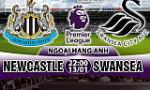 Nhận định Newcastle vs Swansea 22h00 ngày 13/1 (Premier League 2017/18)
