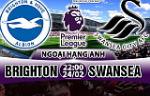 Nhận định Brighton vs Swansea 22h00 ngày 24/2 (Premier League 2017/18)