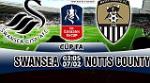 Nhận định Swansea vs Notts County 03h05 ngày 7/2 (FA Cup 2017/18)
