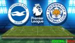 Nhận định Brighton vs Leicester 21h00 ngày 31/3 (Premier League 2017/18)
