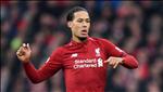 Van Dijk thiếu chút nữa đã gia nhập Brighton
