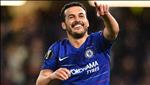 Tiếp tục ghi bàn, Pedro có vài lời muốn gửi đến NHM Chelsea