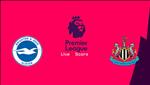 Nhận định Brighton vs Newcastle 23h30 ngày 27/4 (Premier League 2018/19)