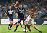 Nhận định Daegu vs Melbourne Victory 17h00 ngày 8/5 (AFC Champions League 2019)