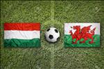 Nhận định Hungary vs Wales 1h45 ngày 12/6 (Vòng loại EURO 2020)