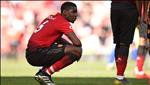 "Nếu Sir Alex còn tại vị, Pogba giờ đã cuốn gói khỏi MU rồi"