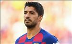 ‘Luis Suarez sẽ trở lại Ajax một ngày nào đó…’