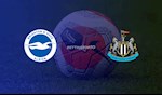 Nhận định bóng đá Brighton vs Newcastle 0h00 ngày 21/7 (Premier League 2019/20)