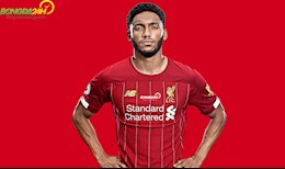 Thông tin, tiểu sử cầu thủ Joe Gomez