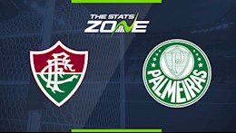 Nhận định bóng đá Fluminense vs Palmeiras 7h30 ngày 13/8 (VĐQG Brazil 2020/21)