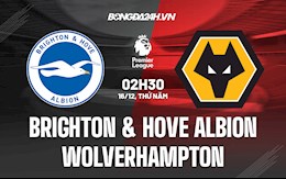 Nhận định bóng đá Brighton vs Wolves 2h30 ngày 16/12 (Ngoại hạng Anh 2021/22)