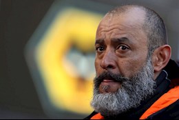 Sự thay đổi vội vàng đã giết chết Bầy Sói