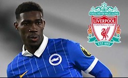 HLV Brighton mang tin vui đến cho Liverpool và Arsenal