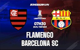 Nhận định Flamengo vs Barcelona SC 7h30 ngày 23/9 (Copa Libertadores 2021)