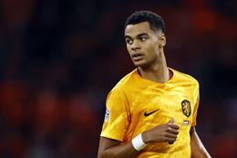 Cody Gakpo đang là ngôi sao mới của ĐT Hà Lan