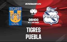 Nhận định Tigres vs Puebla 8h ngày 16/1 (VĐQG Mexico)