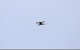 Trận Brentford vs Wolves bị hoãn vì lý do khó tin