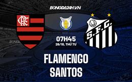 Nhận định, dự đoán Flamengo vs Santos 7h45 ngày 26/10 (VĐQG Brazil 2022)