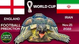 Rùa tiên tri dự đoán kết quả trận Anh vs Iran