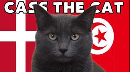 Mèo tiên tri dự đoán thế nào về cặp đấu Đan Mạch vs Tunisia?