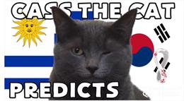 Mèo tiên tri dự đoán kết quả trận Hàn Quốc vs Uruguay