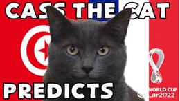 Mèo tiên tri dự đoán trận Pháp vs Tunisia: Sẽ có bất ngờ?