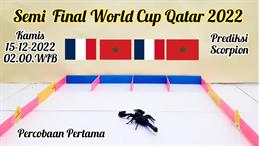 Thêm bọ cạp dự đoán kết quả trận Pháp vs Morocco