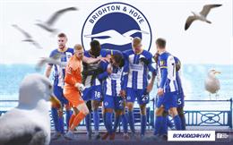 Brighton & Hove Albion: Hình mẫu ngay cả ông lớn cũng nên học hỏi