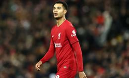 Darwin Nunez muốn người hâm mộ kiên nhẫn với Cody Gakpo