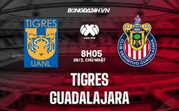 Nhận định bóng đá Tigres vs Guadalajara 8h05 ngày 26/2 (VĐQG Mexico 2023)