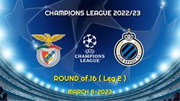 Đại bàng tiên tri dự đoán kết quả trận Benfica vs Club Brugge