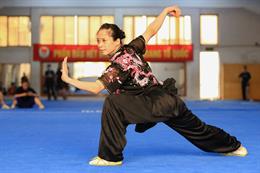 Những niềm hy vọng vàng của Wushu Việt Nam